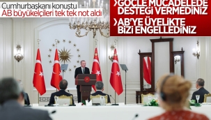 Cumhurbaşkanı Erdoğan'ın AB büyükelçileri toplantısı konuşması 