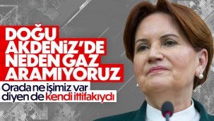 Meral Akşener: Akdeniz'de herkes gaz arıyor, biz arayamıyoruz 