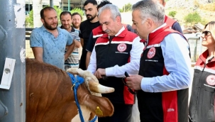 İzmir hayvan pazarları Kurban Bayramı'na hazır