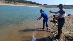 2 yıl sonra gelince karşılaştıkları manzarayla şoke oldular! Gölün içinden metrelerce çıkardılar