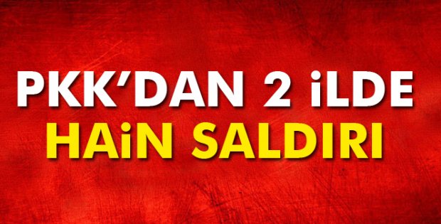 PKK'dan 2 ilde hain saldırı!