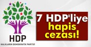 7 HDP'liye hapis cezası!