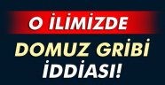 Adana'da domuz gribi iddiası