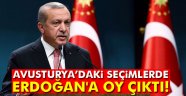 Avusturya'daki seçimlerde Cumhurbaşkanı Erdoğan'a oy çıktı