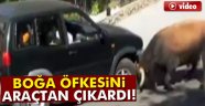 Boğa öfkesini araçtan çıkardı