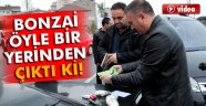 Bonzai iç çamaşırından çıktı