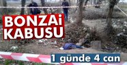 bonzai kabusu: 1 günde 4 can