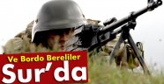 Bordo Bereliler Sur'da