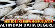 bu mantar altından daha değerli