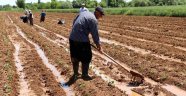 Çiftçi Kayıt Sistemi'ne başvuru süresi 1 Eylül'e kadar uzatıldı