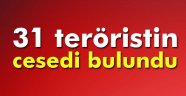 Cizre'de teröre ağır darbe