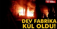 Dev narenciye fabrikası kül oldu