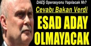 Dışişleri Bakanı Feridun Sinirlioğlu: Esad aday olmayacak