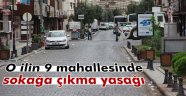 Diyarbakır'da 9 mahallede sokağa çıkma yasağı