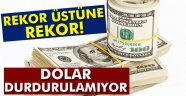 Dolar 3,50'yi aştı