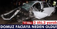 domuz faciaya neden oldu: 3 ölü, 2 yaralı