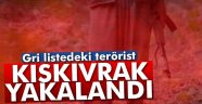 Gri listedeki terörist yakalandı