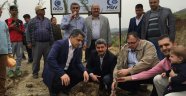 HATAY'DA NECMETTİN ERBAKAN ANISINA HATIRA ORMANI