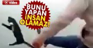 İnsanlığın Bittiği Yer