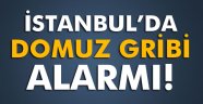 İstanbul'da domuz gribi alarmı