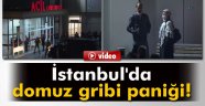 İstanbul'da domuz gribi paniği