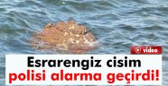 İzmir kıyılarına vuran esrarengiz cisim mayın çıktı