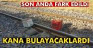 kana bulayacaklardı