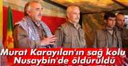 Karayılan'ın sağ kolu Nusaybin'de öldürüldü