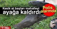 Kars'ta kesik at başları mahalleyi ayağa kaldırdı