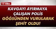 Kavgayı ayırmaya çalışan polis şehit oldu!