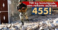 kış temizliği devam ediyor 455 terörist ?