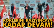 Köklerini kazıyıncaya kadar