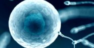 Koronavirüs hastalarında sperm düşüklüğü ve kısırlık tespit edildi