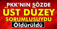 Lice'de PKK'nın sözde orta saha sorumlusu öldürüldü