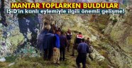 Mantar toplamaya gittiler, silah ve telsiz buldular