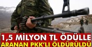 ödülle aranan PKK'lı öldürüldü