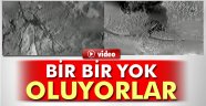 PKK'lılar bir bir böyle yok oluyor!