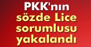 PKK'nın sözde Lice sorumlusu tutuklandı