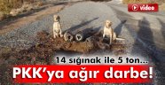 PKK'ya ağır darbe!