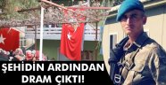 Şehidin ardından dram çıktı