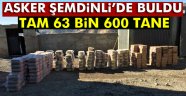 Şemdinli'de 63 bin 600 adet av fişeği ele geçirildi