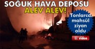 Soğuk hava deposu alev alev yandı