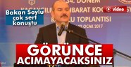 Soylu: 'Gördüğünüz anda acımayacaksınız'