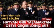 Soylu: 'Hayvan gibi yaşamaktan öteye geçebildiniz mi?'