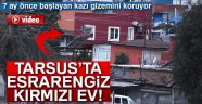 Tarsus'ta 7 ay önce başlayan kazı gizemini koruyor