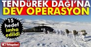 Tendürek Dağı'nda operasyon