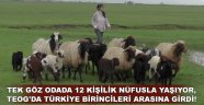 TEOG'da Türkiye birincileri arasına girdi!