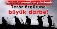 Terör örgütüne büyük darbe