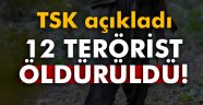 TSK: '12 terörist etkisiz hale getirildi'