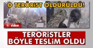 Tunceli'de 27 terörist etkisiz hale getirildi